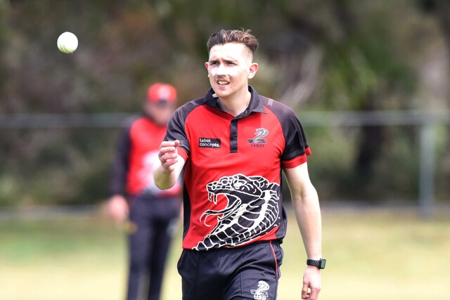 Cobras looking to strike early