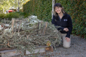 Bandicoot shelters put to the test at Cranbourne Gardens