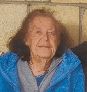 Police search for missing woman, 83