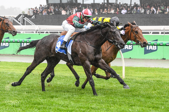 Time for a dip with Calamari