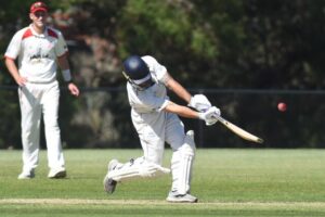 Another win for the Bears