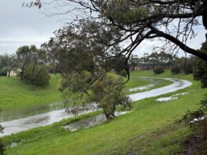 Hussainzada family mourn drowned mother and son