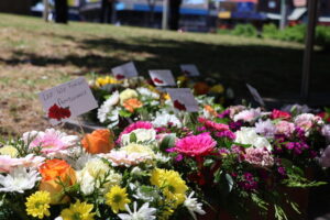 Attend your local Remembrance Day services