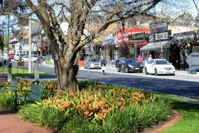 Berwick Village draft plan garners widespread community support