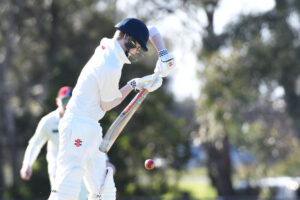 Cobras and Blues double up