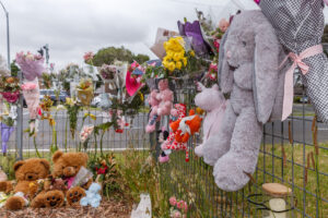 Driver jailed after deadly distraction