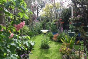 Oasis opens for a cause