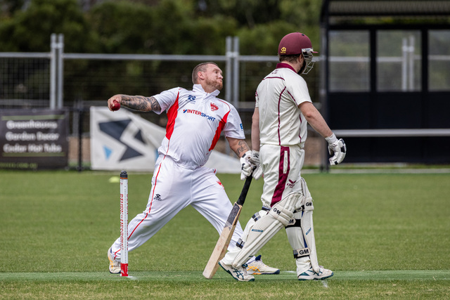 Panthers at a crossroads