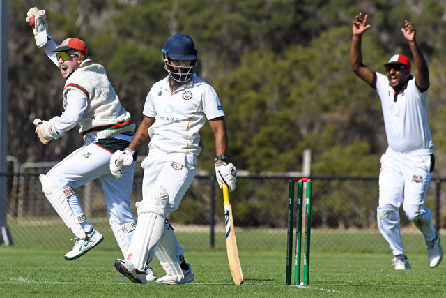 Seagulls dominate Cougars to set up third straight big one