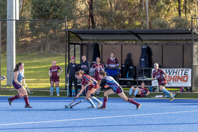 Cannons set to launch into season 2026