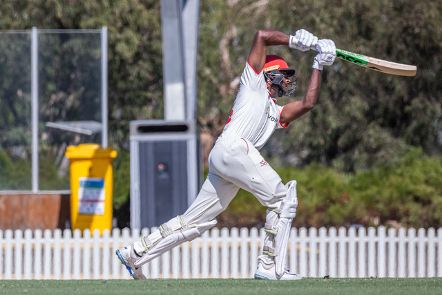 Gallant Swans fall short